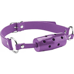 Ouch! Cylinder Gag for Kinky Lovers, One Size, Perfect Purple