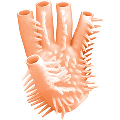 Nubby Masturbating Glove by Nasstoys, One Size, Natural