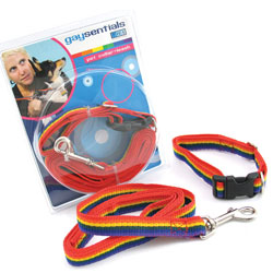 Gaysentials Rainbow Pet Leash and Collar Combo