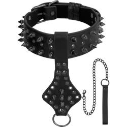 Ouch! Skulls and Bones Deluxe Spiked Collar with Leash, One Size, Black