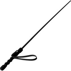 Mistress by Isabella Sinclaire Intense Impact Cane, Black