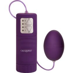 Pocket Exotics Waterproof Egg Vibrator, 2 Inch, Purple