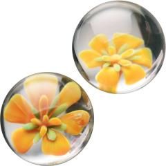 XR Brands Prisms Erotic Asvani Glass Benwa Kegel Balls, 1 Inch, Clear with Flower