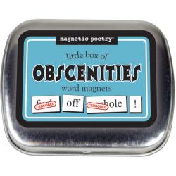Little Box of Obscenities Word Magnets