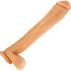 Blush Hung Rider Lil John Dong with Suction Cup, 13 Inch, Flesh
