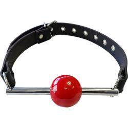 Ball Gag with Stainless Steel Rod and Removable Ball, Black/Red