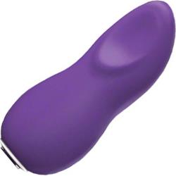 We Vibe Touch USB Rechargeable Personal Vibrator, Purple